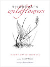 Cover image for Thoreau's Wildflowers